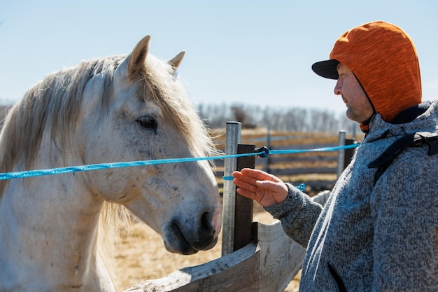Ein Mann füttert ein weißes Pferd auf einer Ökofarm