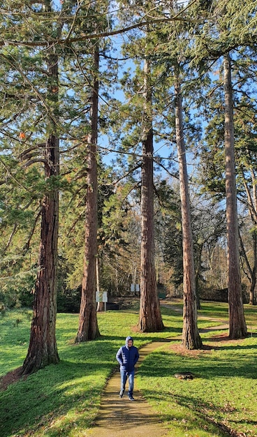 Ein Mann geht durch einen Wald