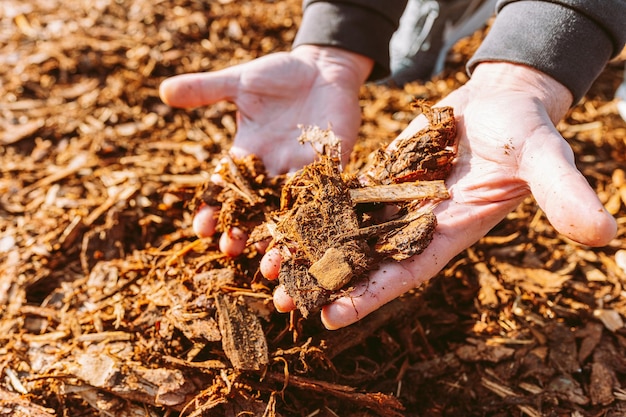 Ein Mann hält einen Haufen Mulch mit dem Wort Mulch darauf.