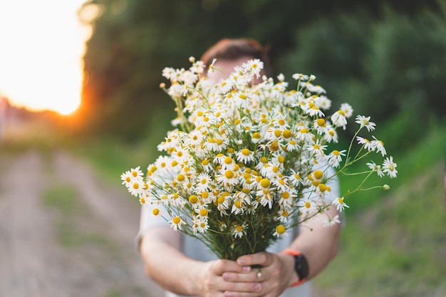 Ein Mann hält einen Strauß weißer Feldgänseblümchen Kamille-Gänseblümchenblumen am Sommertag