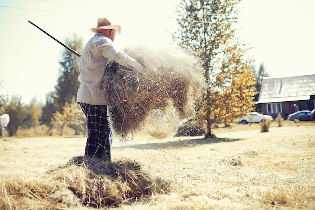 Ein Mann harkt das gemähte Gras Herbstliche Getreideernte Opa kümmert sich um den Rasen eines Landhauses