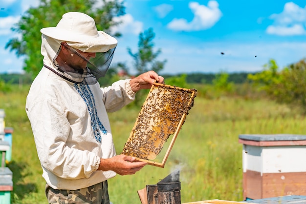 Ein Mann in Schutzanzug und Hut hält einen Rahmen mit Bienenwaben im Garten