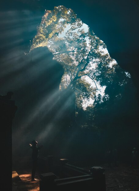 Foto ein mann in voller länge steht in einer höhle im wald