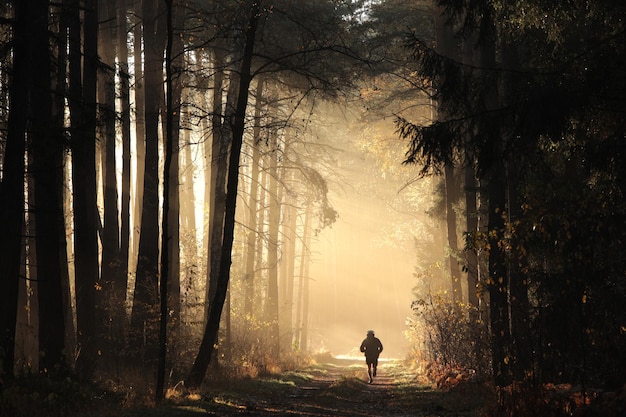 Ein Mann läuft an einem nebligen Morgen zwischen Fichten in einem herbstlichen Wald