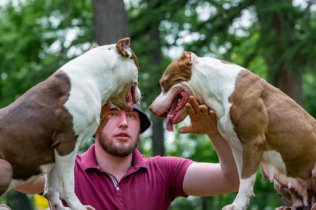 Ein Mann mit den beiden Hunden im Park in liebevoller, zärtlicher Bindung