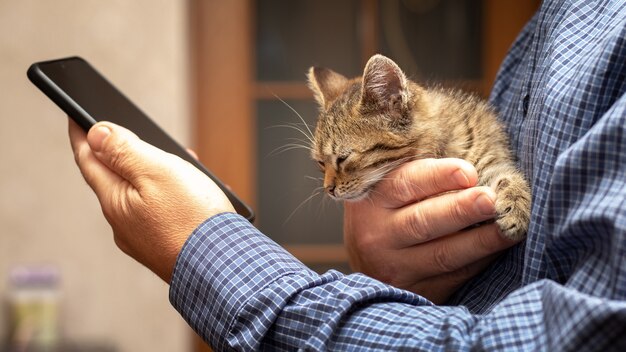 Ein Mann mit einem Telefon in der Hand hält ein kleines süßes Kätzchen in der anderen Hand