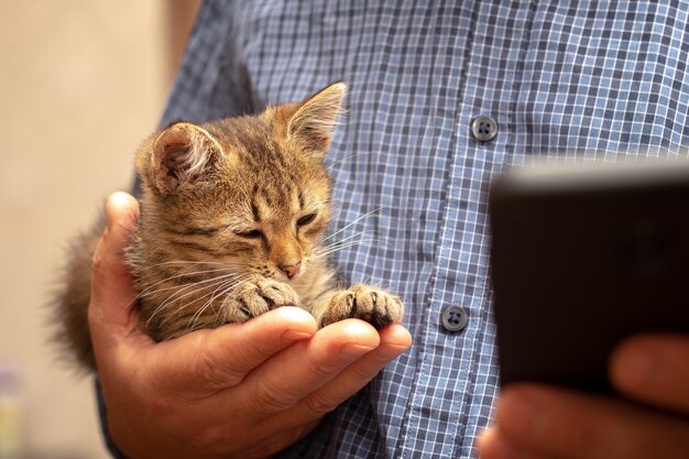 Ein Mann mit einem Telefon in der Hand hält ein kleines süßes Kätzchen in der anderen Hand