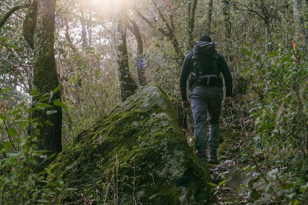 Ein Mann mit Rucksack in den Bergen neben einem Wald