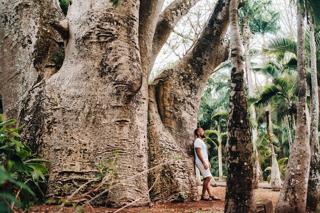 Ein Mann neben einem Baobab-Baum in einem botanischen Garten auf der Insel Mauritius.