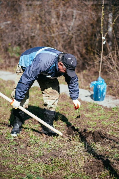 Ein Mann pflanzt einen jungen Baum Der Bauer gräbt den Boden mit einer Schaufel für einen kleinen Sämling Das Konzept des Umweltschutzes und der Ökologie