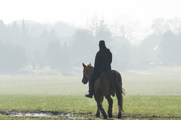 Foto ein mann reitet auf einem pferd auf dem feld gegen den himmel