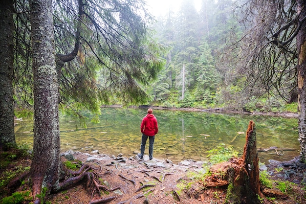 Ein Mann ruht sich entspannt am ruhigen See aus. Erholungsurlaub