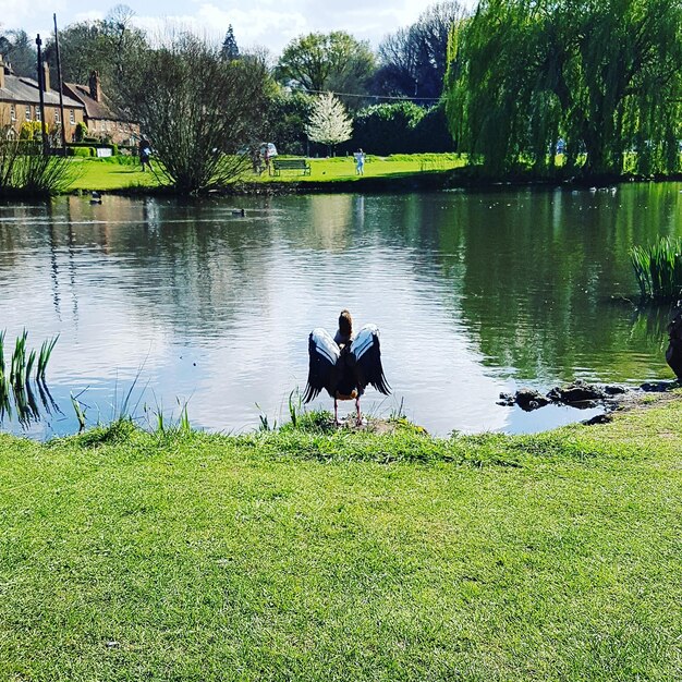 Foto ein mann sitzt auf einem see