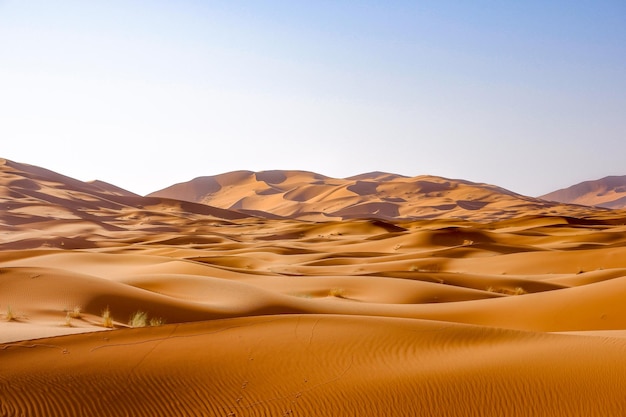 Foto ein mann sitzt auf sanddünen, die von spuren in einer wüste umgeben sind