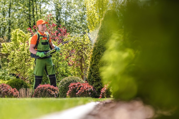 Ein Mann sprüht Dünger auf Pflanzen