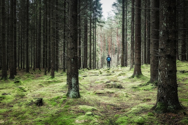 Ein Mann steht allein in einem friedlichen Wald, umgeben von mit Moos bedeckten Baumstämmen