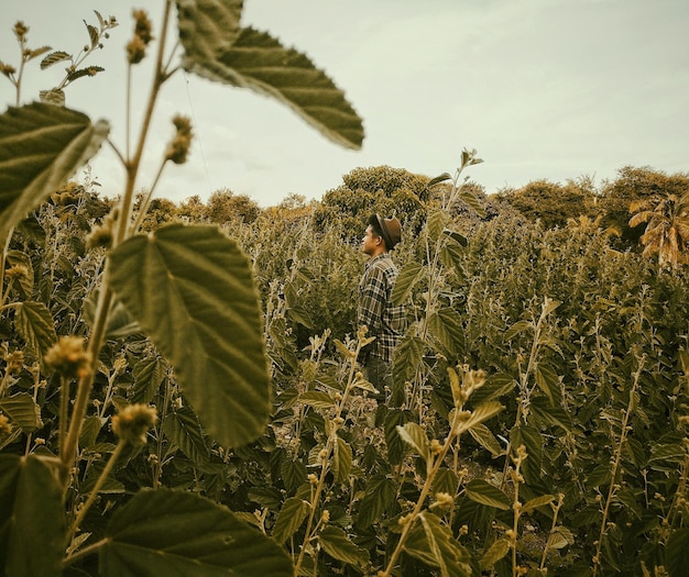 Ein Mann steht auf dem Feld gegen den Himmel