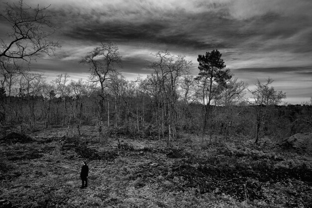 Foto ein mann steht auf dem feld gegen einen bewölkten himmel