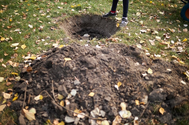 Ein Mann steht in der Nähe eines Baumpflanzungslochs im Park