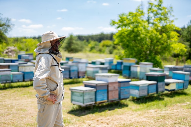 Ein Mann steht vor einem Haufen Bienenstöcken, ein Imker inspiziert seine Bienenstöcke