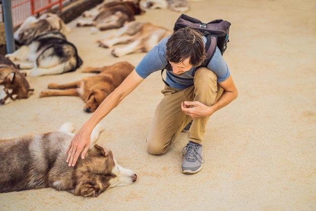 Ein Mann streichelt einen Hund Tierschutzkonzept
