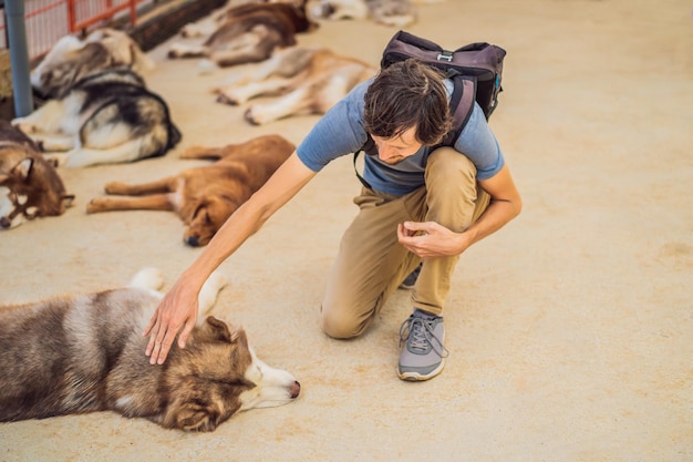 Foto ein mann streichelt einen hund tierschutzkonzept