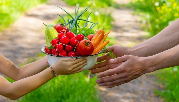 Ein Mann und sein Kind im Garten mit Gemüse in den Händen