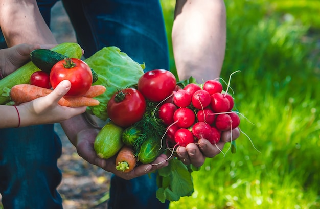 Ein Mann und sein Kind im Garten mit Gemüse in den Händen