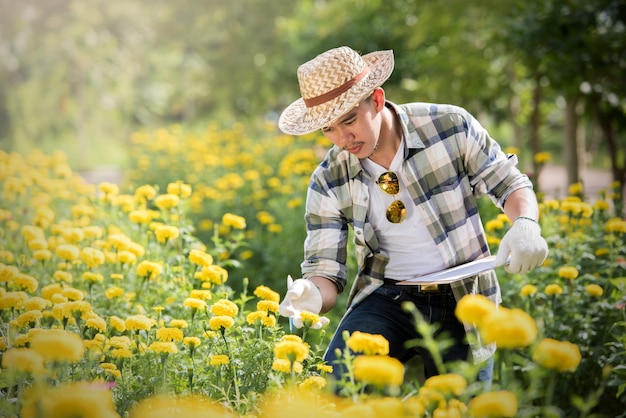 Ein Mann untersucht blühende Pflanzen im Garten