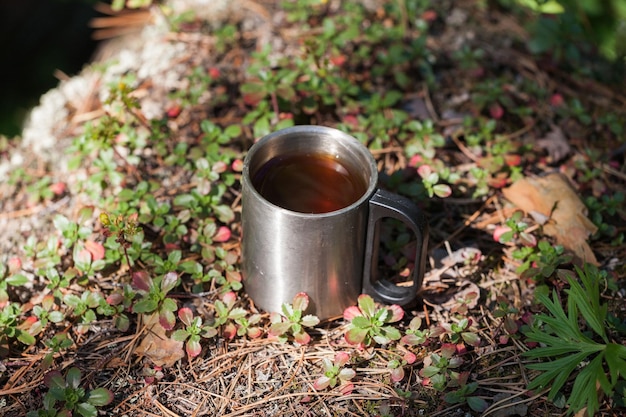 Ein marschierender Metallbecher mit Tee auf einem Felsen in einem wilden Wald