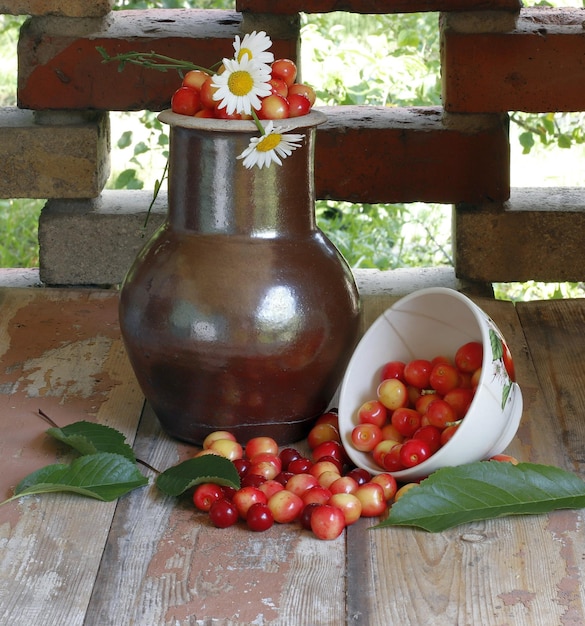 Ein mit rosa Kirschen gefüllter Töpferkrug, eine umgestürzte Porzellanschüssel mit Kirschen auf einem rauen Tisch gegen eine Ziegelsteinmauer sind abgebildet