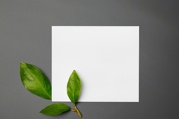 Ein Mockup-Weißbuch, harmonisch geschmückt mit einem frischen Blatt, das eine delikate Fusion enthüllt
