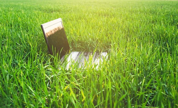 Ein moderner Laptop liegt auf dem frischen grünen Gras im Sonnenlicht