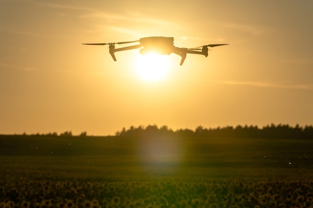 Ein moderner Quadcopter fliegt gegen den Sonnenuntergang über ein Sonnenblumenfeld Der Einsatz moderner Technologien im agroindustriellen Komplex Die Drohne hilft dem Landwirt im Agribusiness