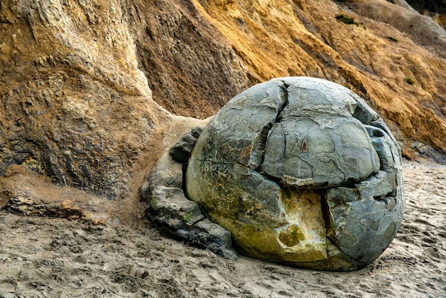 Ein Moeraki-Felsbrocken, der nicht zum Strand rollen kann, da die Klippe ihn nicht loslässt