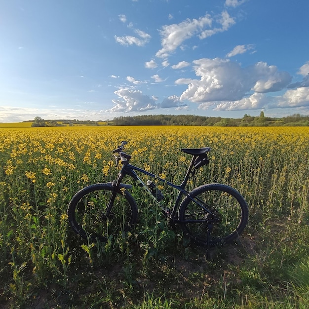 Ein Mountainbike steht in einer Blumenwiese.