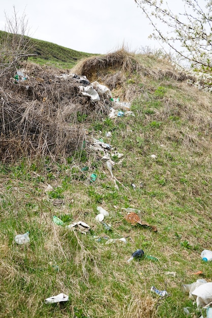 Ein Müllhaufen auf einer Lichtung auf dem Land an einem Frühlingstag vertikal