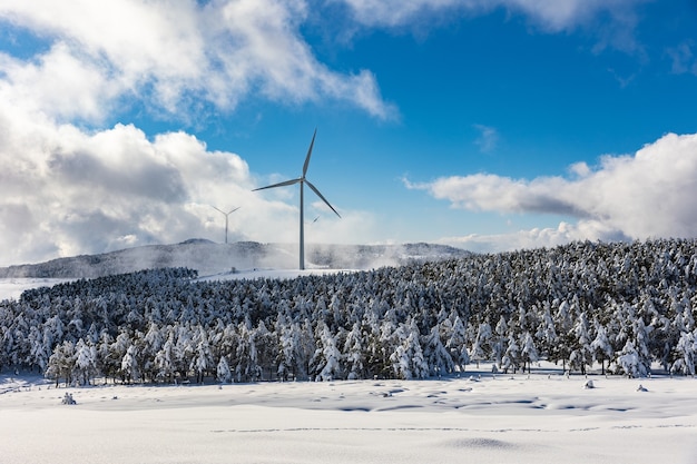 Ein Nachmittag in den Bergen mit viel Schnee