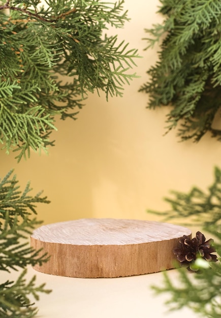 Ein natürliches Holzpodium auf beigem Hintergrund neben Zweigen eines grünen Baums