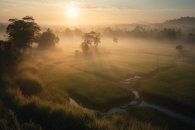 Ein nebliger Sonnenaufgang über einem Feld mit einem Fluss im Vordergrund