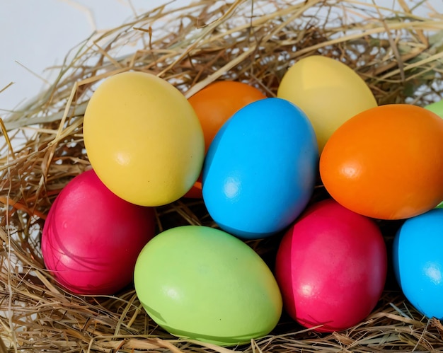 Ein Nest aus Ostereiern mit einem blauen Ei in der Mitte