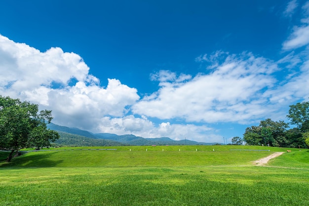 Ein öffentlicher Ort Freizeitreisen breite Rasen- und große Baumlandschaft im Park zum Entspannen im Naturwald Blick auf die Berge Frühling bewölkter Himmelshintergrund mit weißen Wolken in der Universität von Chiang Mai