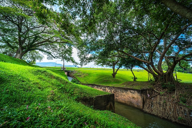 Ein öffentlicher Ort Freizeitreisen breite Rasen- und große Baumlandschaft im Park zum Entspannen im Naturwald Blick auf die Berge Frühling bewölkter Himmelshintergrund mit weißen Wolken in der Universität von Chiang Mai