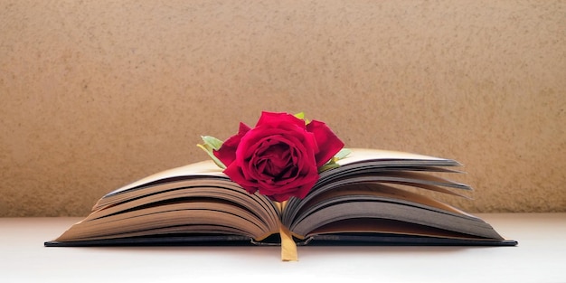 Ein offenes altes Buch und eine rote Rose auf dem Tisch Vintage-Stil