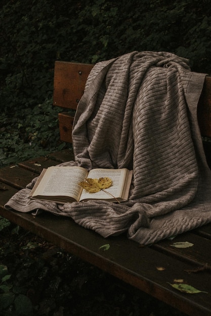 Ein offenes Buch und eine warme Decke auf einer Bank im Herbstwald