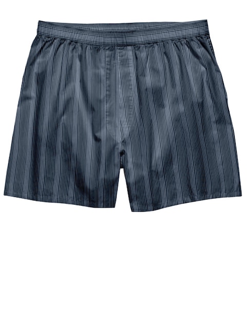 ein Paar blaue und graue Shorts mit weißem Hintergrund