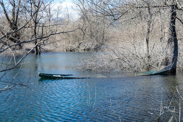 Ein paar Boote sind im Wasser mit Bäumen im Hintergrund.