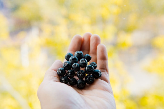 Ein paar Johannisbeeren in der Hand