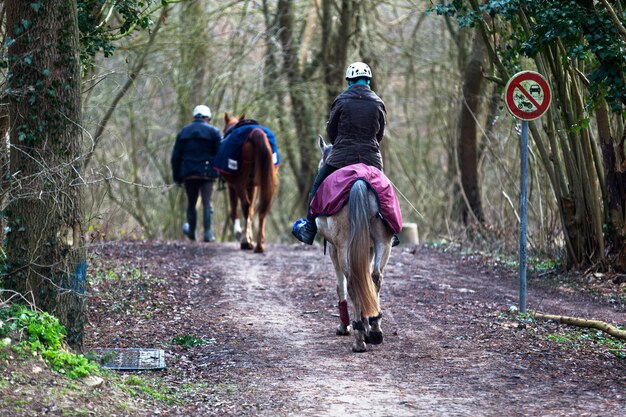 Foto ein paar reiter auf einem fußweg im wald