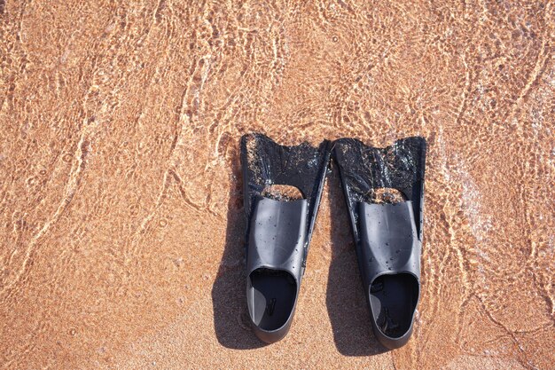 Ein Paar schwarze Flossen auf dem Sandhintergrund neben dem Wasser